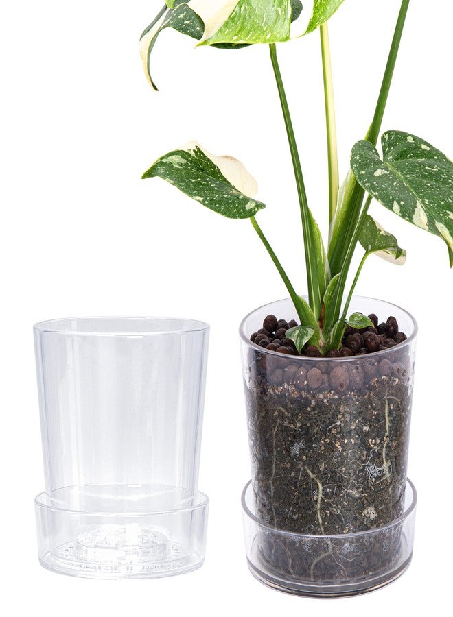 Phoenix Vine 6.5 InchClear Acrylic Planter Pot with Tray, Orchid Pot with Drainage Holes, Deep Saucer for Bottom Watering, Transparent Containers for Indoor Plants, Herbs, Set of 2, 91-A-F-2 - Image 1